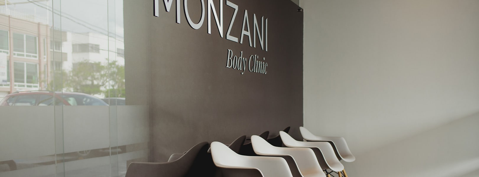 Monzani 2